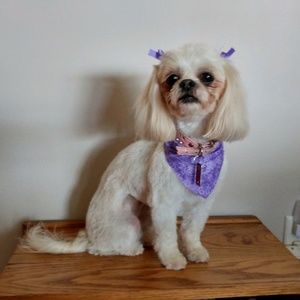 Meet your Posher, Linda